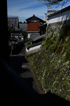 臼杵スナップ⑫