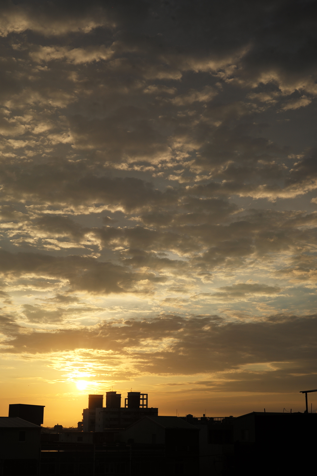 夕日