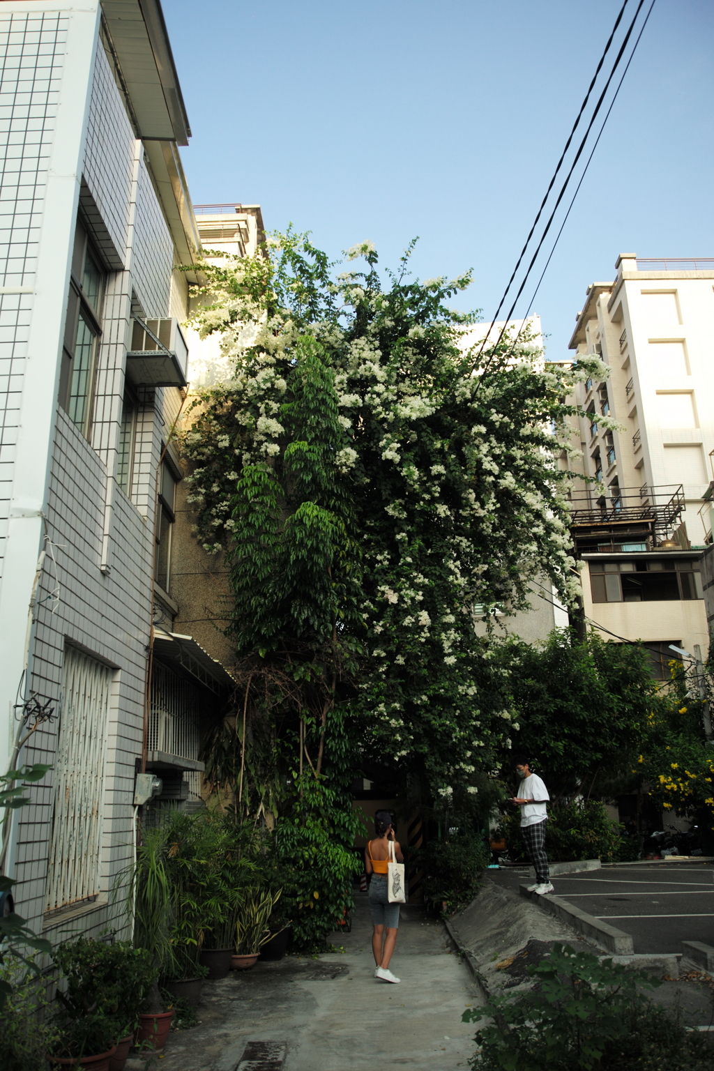 台湾 台南 路地裏（613）