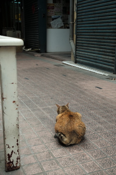 高雄 鹽埕埔 路地裏