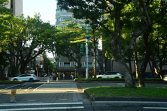 台北スナップ