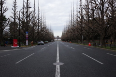 Tokyo Snap20