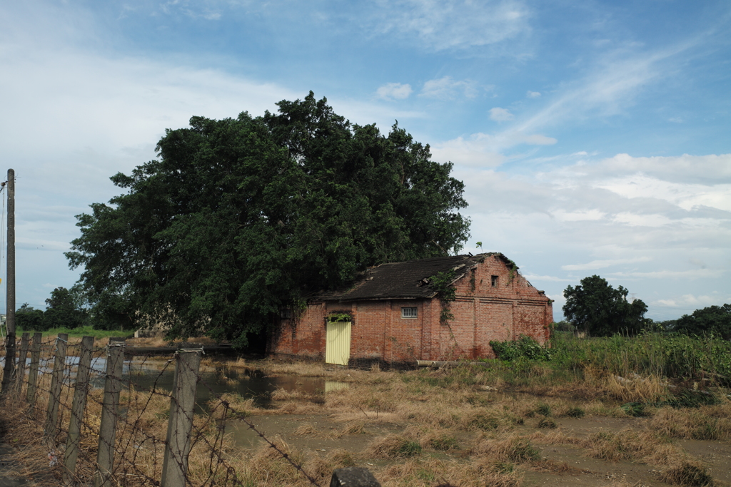 台湾台南台風の後２