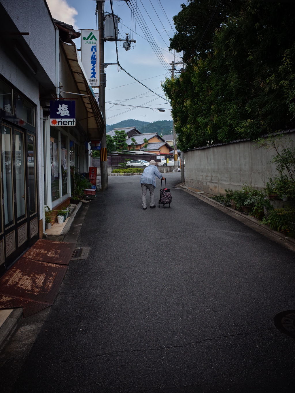 京都衣笠で・・