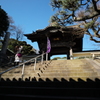 龍口寺01