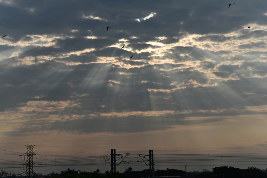夕暮れ