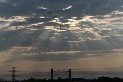 夕暮れ
