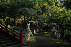 朝見神社⑥