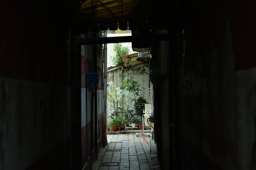 台南路地裏863 