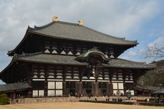 奈良スナップ