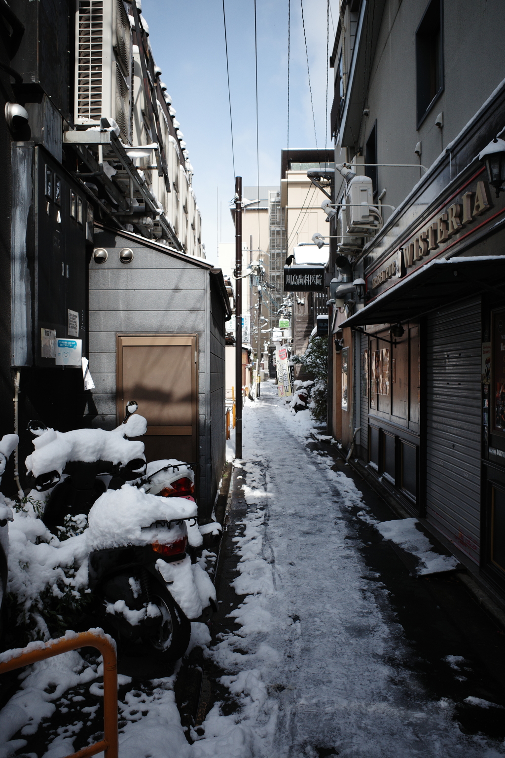雪の京都