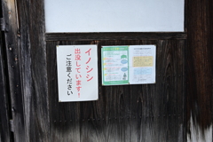松代スナップ19