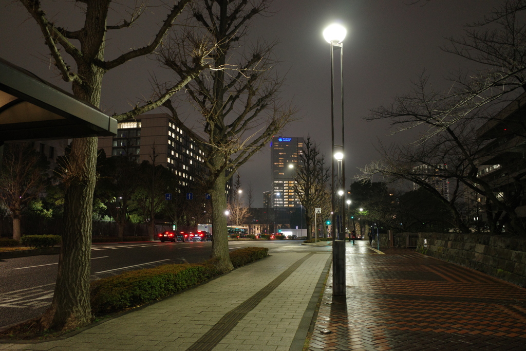 Tokyo Snap10