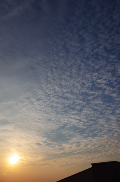 夕日と鱗雲