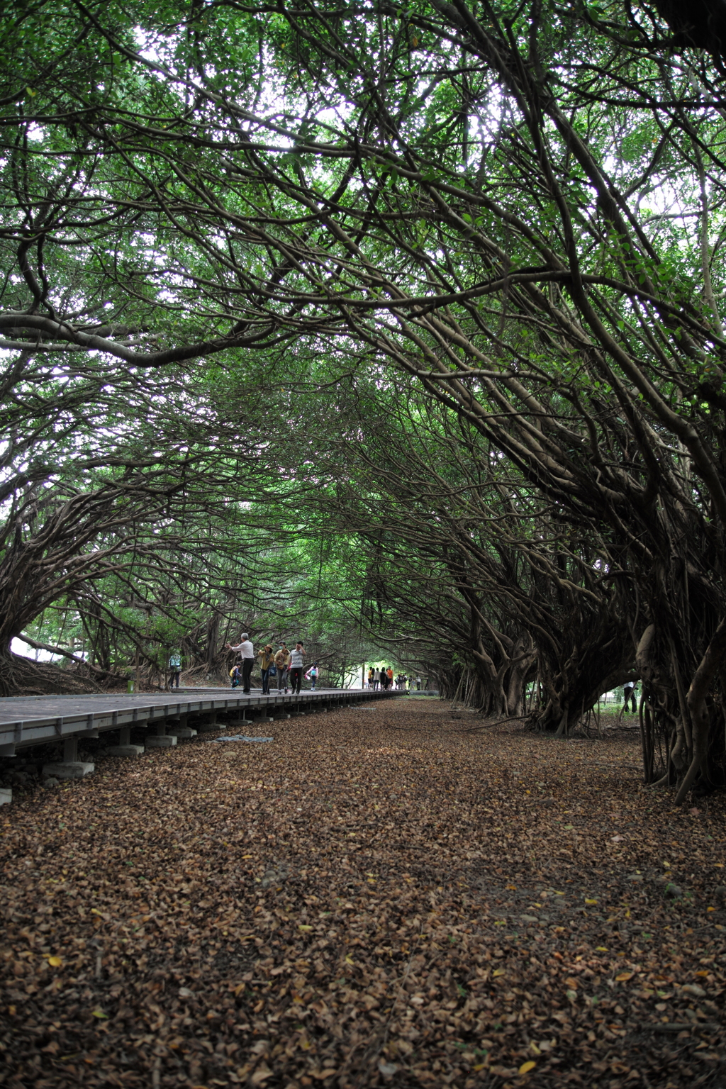 新營區陸軍長勝營區03