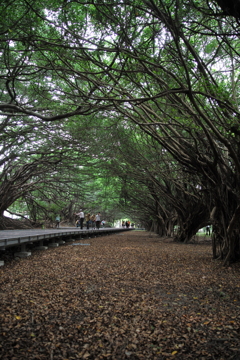 新營區陸軍長勝營區03
