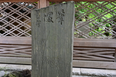 東京スナップ 東京スナップ