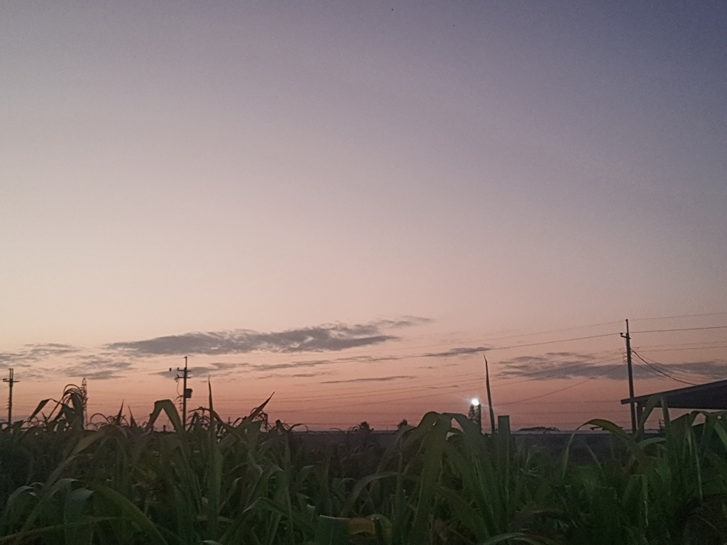 2026年１月１日の夕暮れ