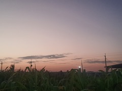 2026年１月１日の夕暮れ