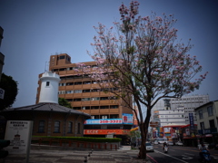 台南　都市風景