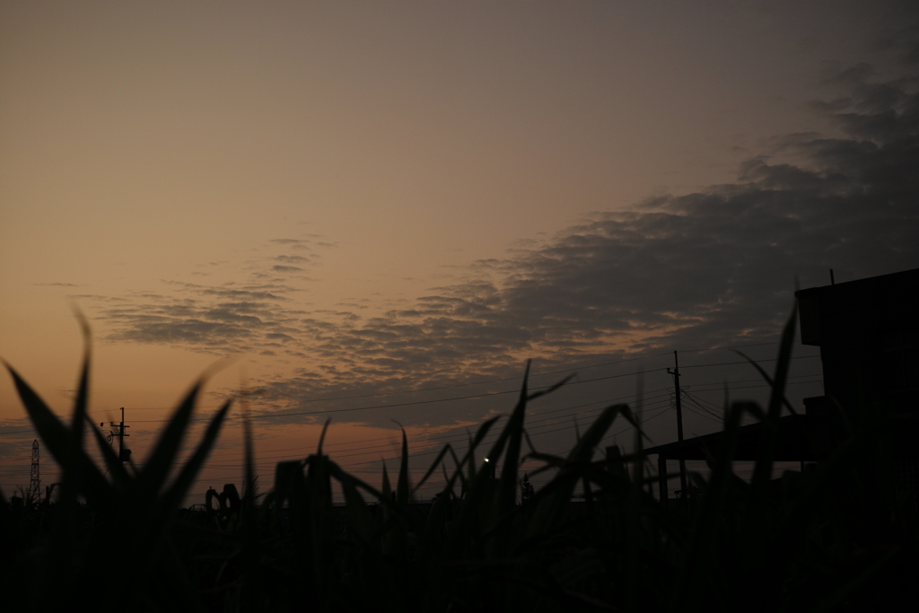 夕暮
