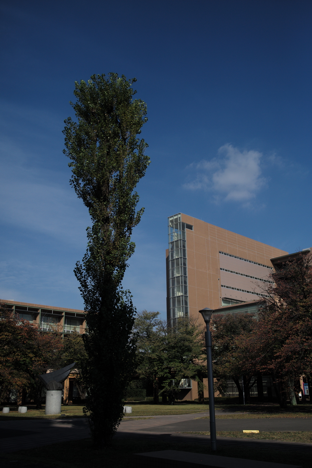 東京外国語大学　