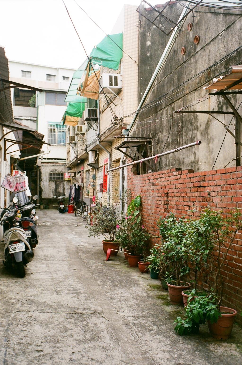 台湾　台南　路地裏（442）