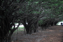 新營區陸軍長勝營區01