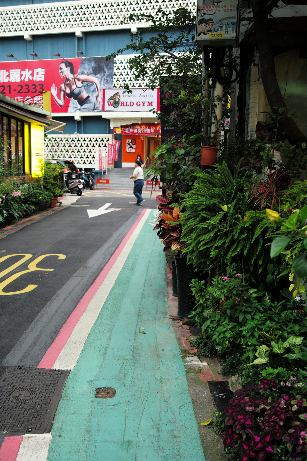 台北路地裏