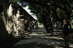 蕭壠文化園區03　　　