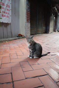 高雄 鹽埕埔 路地裏