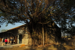 隆田chacha文化 資產教育園區