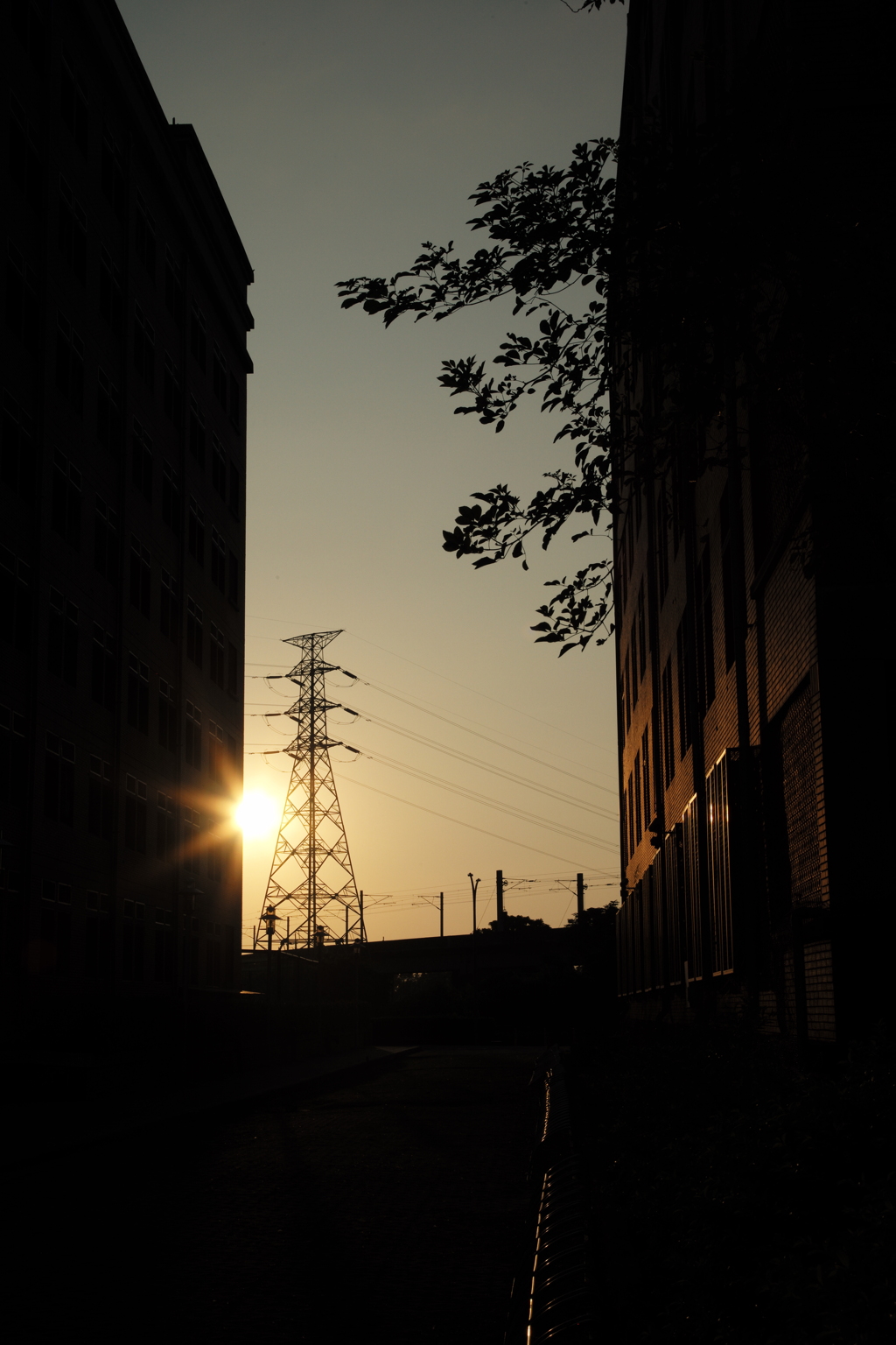 夕暮れ