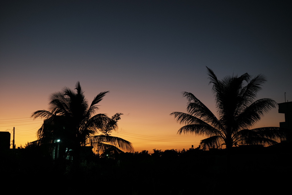 夕暮