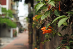 台湾　台南　路地裏（356）