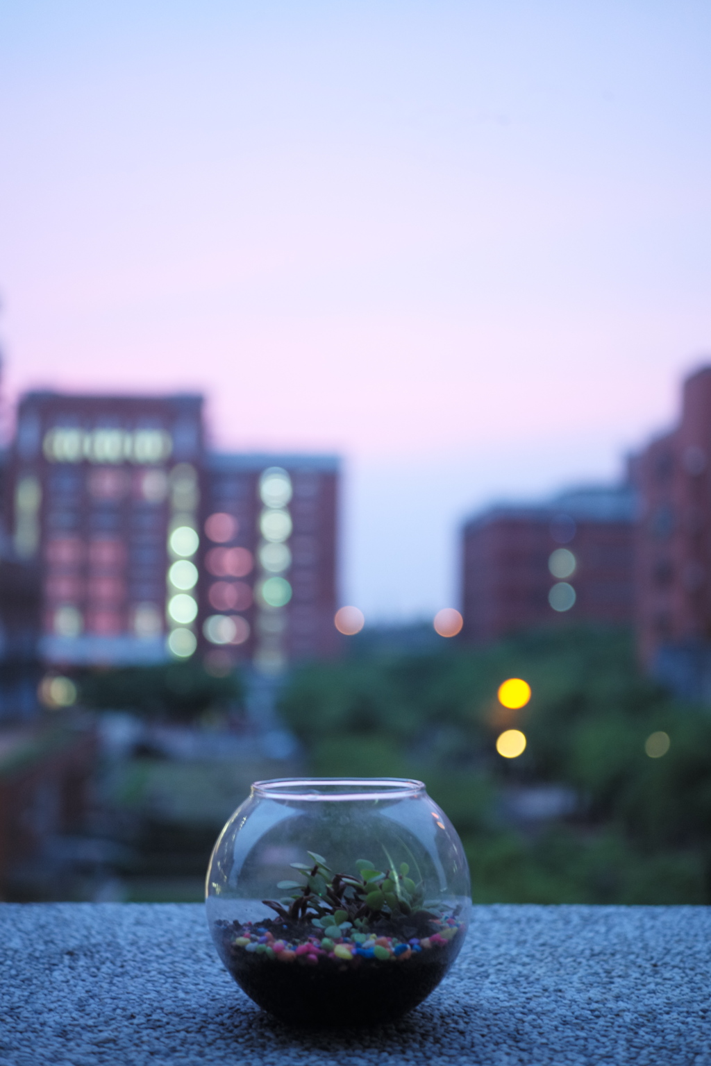 静物