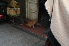 台南スナップ