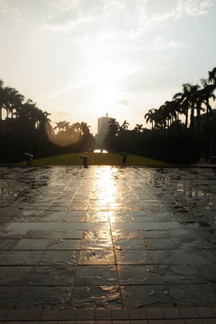 台湾大学