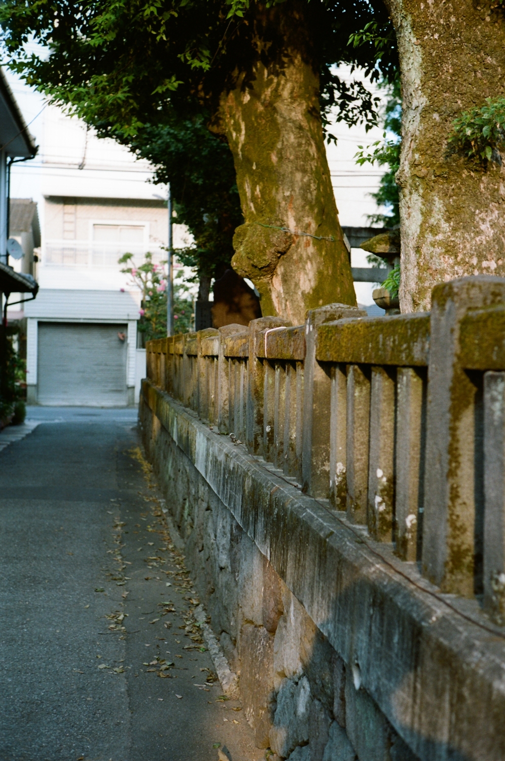 路地裏