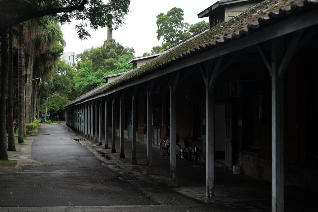 台湾大学構内