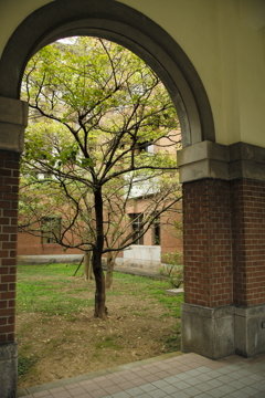 台湾大学図書館03