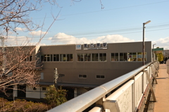 奈良スナップ