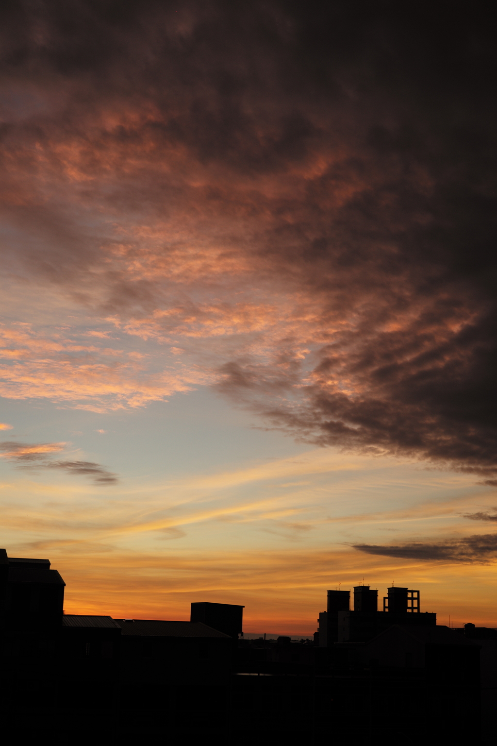 夕暮