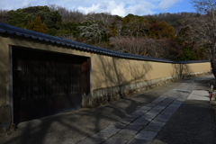 奈良スナップ