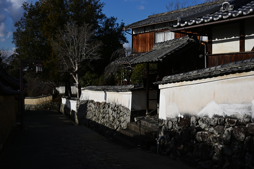 奈良スナップ