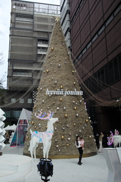 台南　Snap
