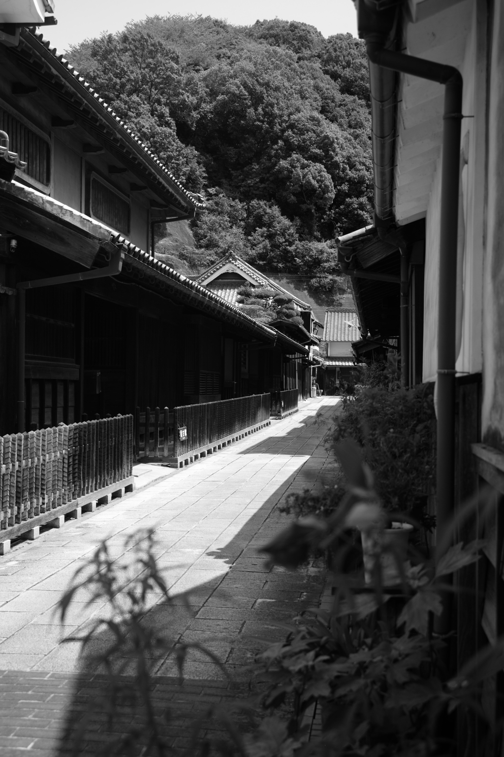 竹原11