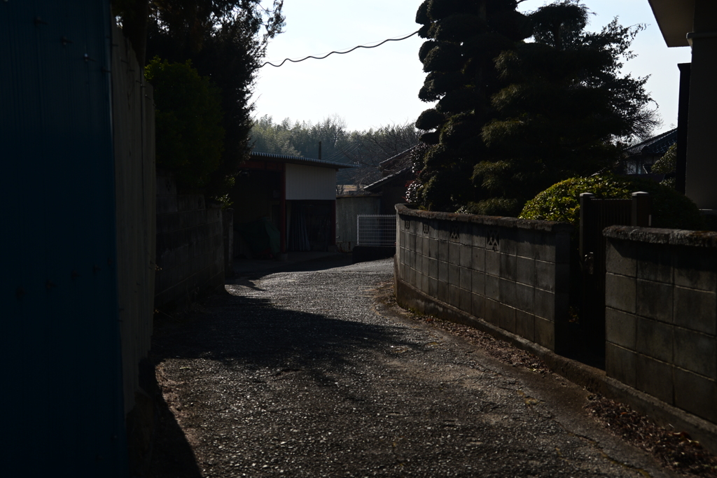 新府