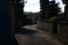 新府
