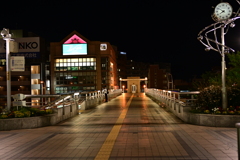 長野夜スナップ